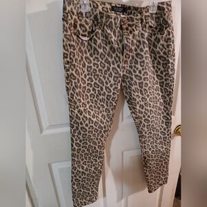 Judy blue size 15/32 skinny